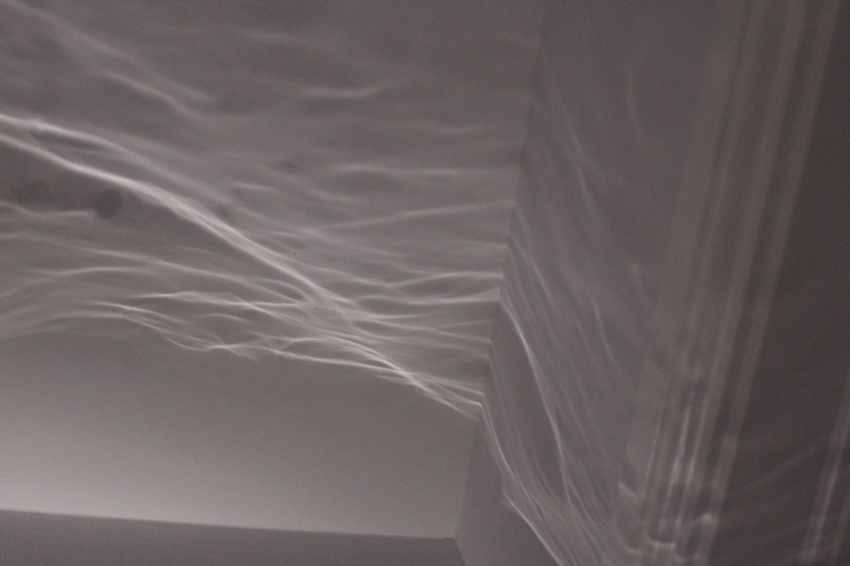 Image 5: Reflections cast, showcasing the interaction between light and water