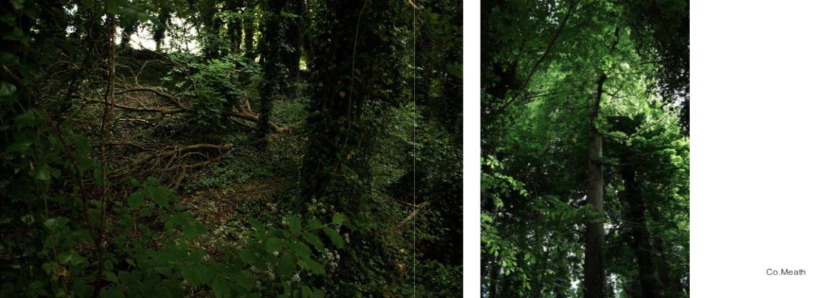 Caption: 8- Image from Photography Book_ Out of Place