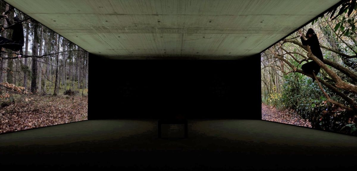 Caption: 1- Installation Projection: Video of Still Images_ Out of Place