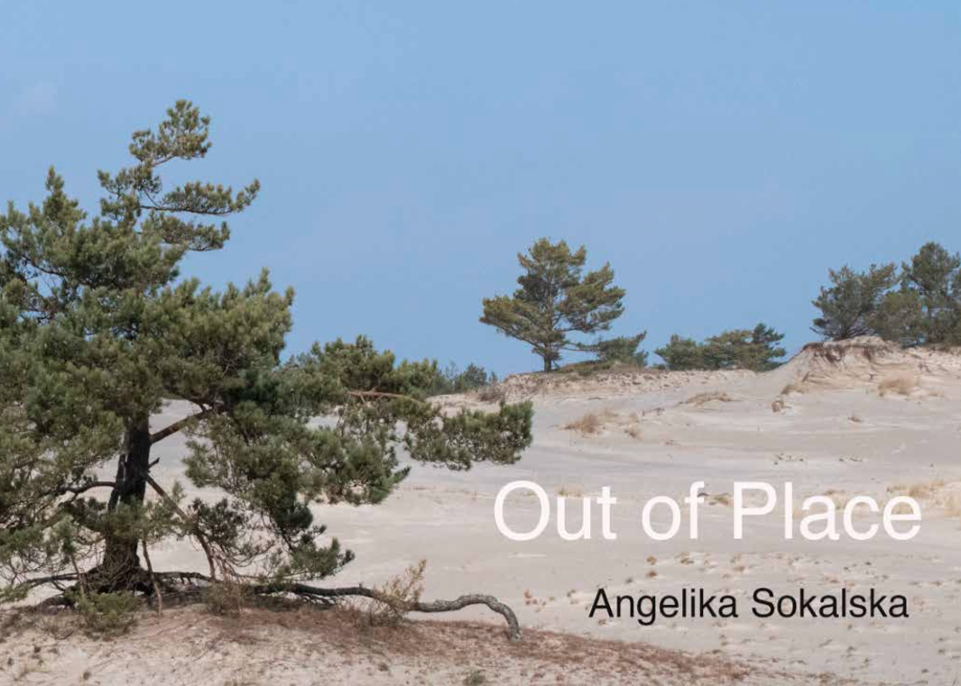 Caption: 5- Image from Photography Book_ Out of Place