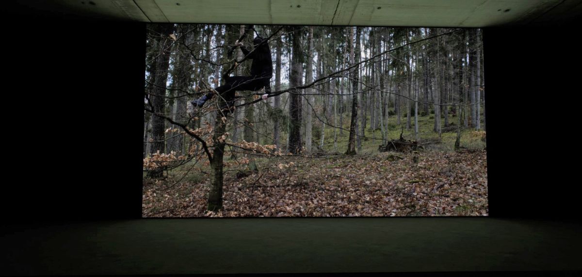 Caption: 3- Installation Projection: Video of Still Images_ Out of Place