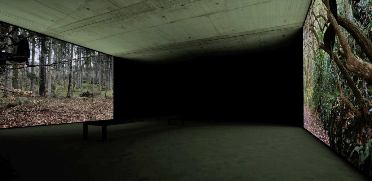 Caption: 2- Installation Projection: Video of Still Images_ Out of Place