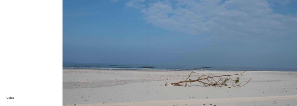 Caption: 9- Image from Photography Book_ Out of Place