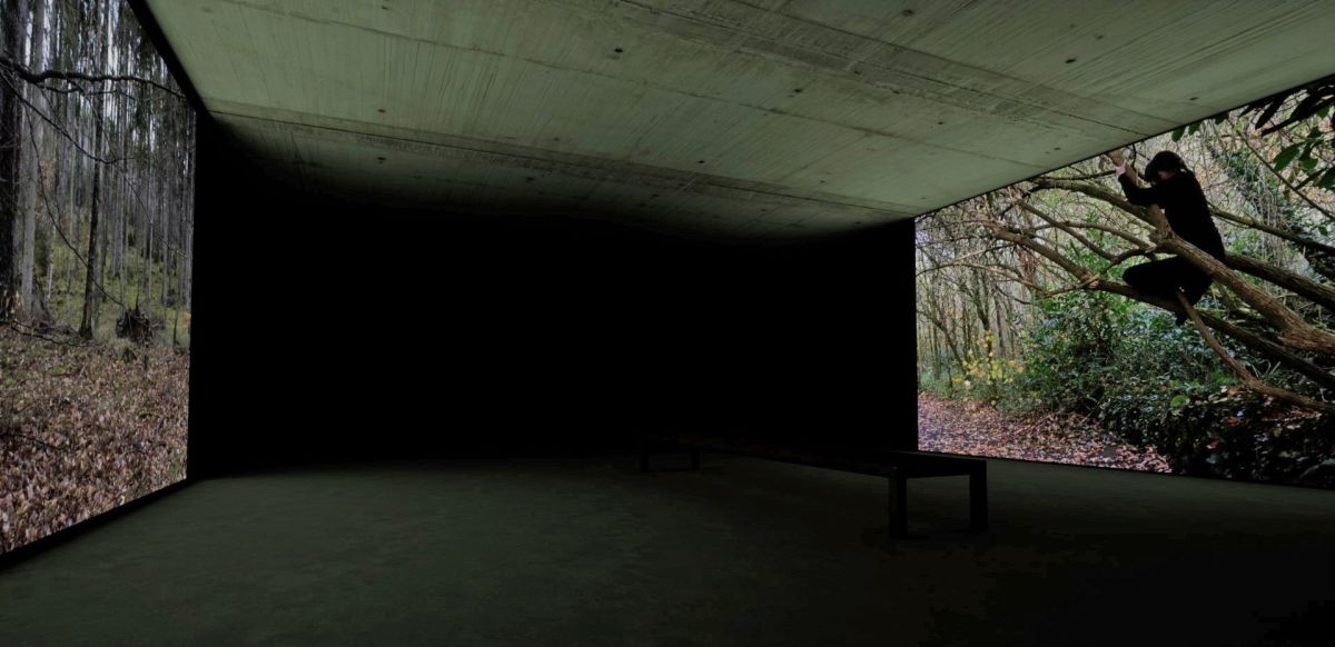 Caption: 4- Installation Projection: Video of Still Images_ Out of Place