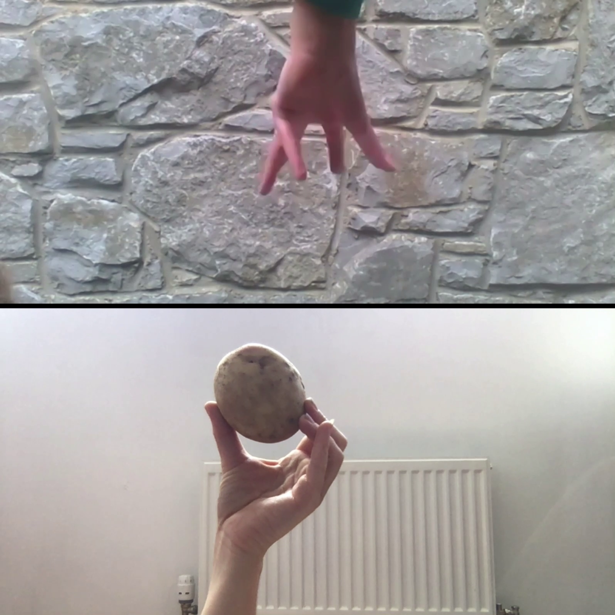 10. Kerry Guinan and Avril Corroon, Hands, Zoom video still, (2020) made for GFANA online solidarity Project HANDS.
