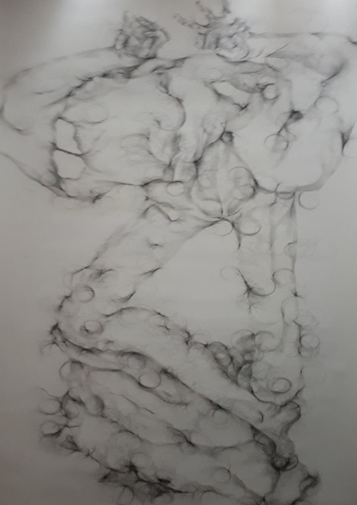 8- Nebulous Corium (large drawing 3), graphite pencil drawing and human hair on cartridge paper