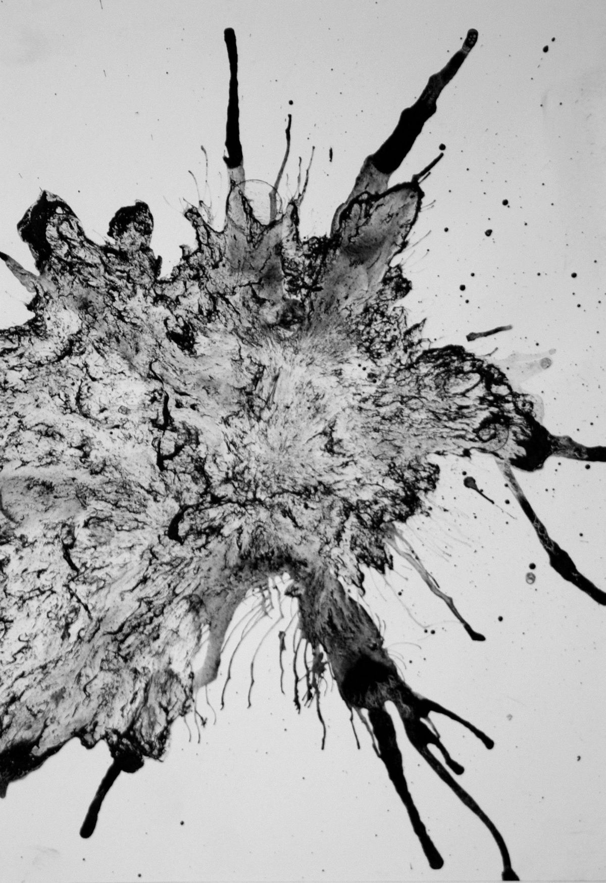 3- Ink Burst. 21cm x 30cm.