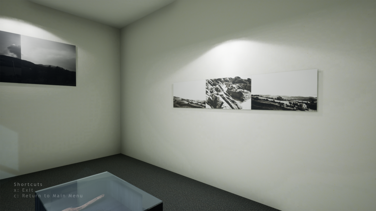 7- Proposed installation 4. Ellen Holmes Kelly 2020