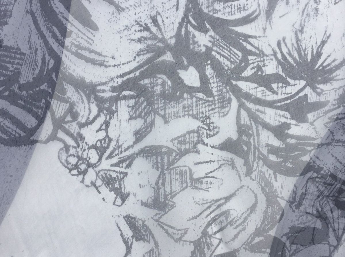 5- Screen printed silk organza
