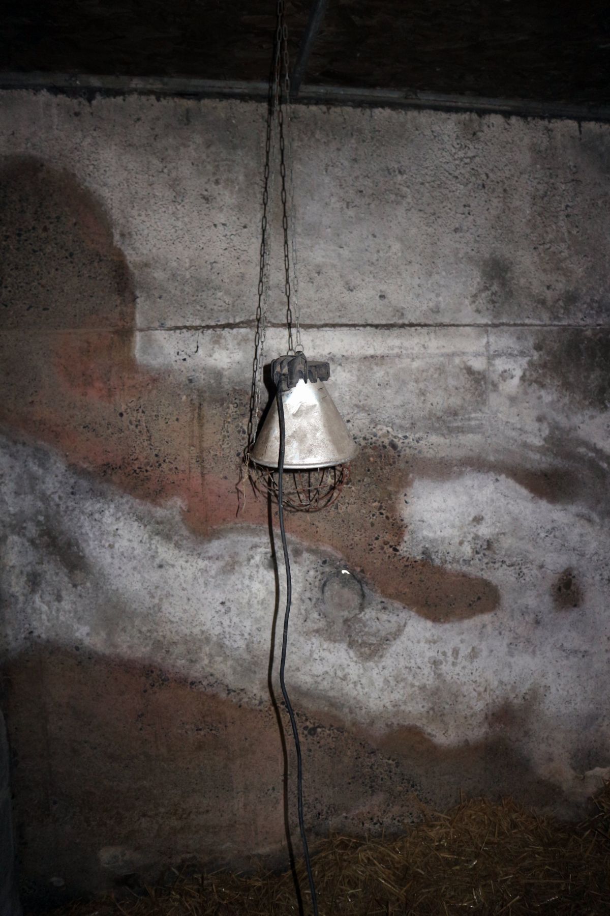 1- Infrared, A Foster