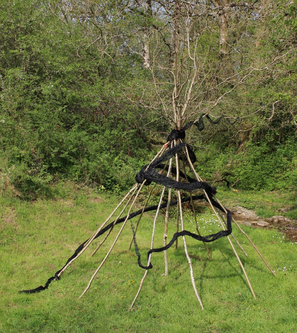 07: 4a. Bolthole, 490 H x 300cm, Hazel rods, netting
