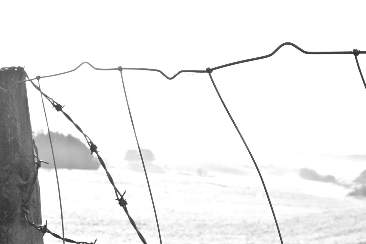 10. 5b. Wired, 185 x 213cm  - detail