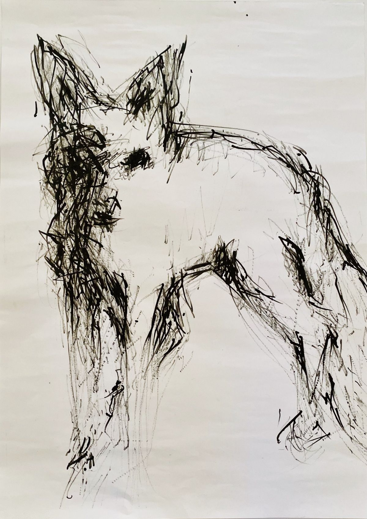 Fox III, ink (A2)