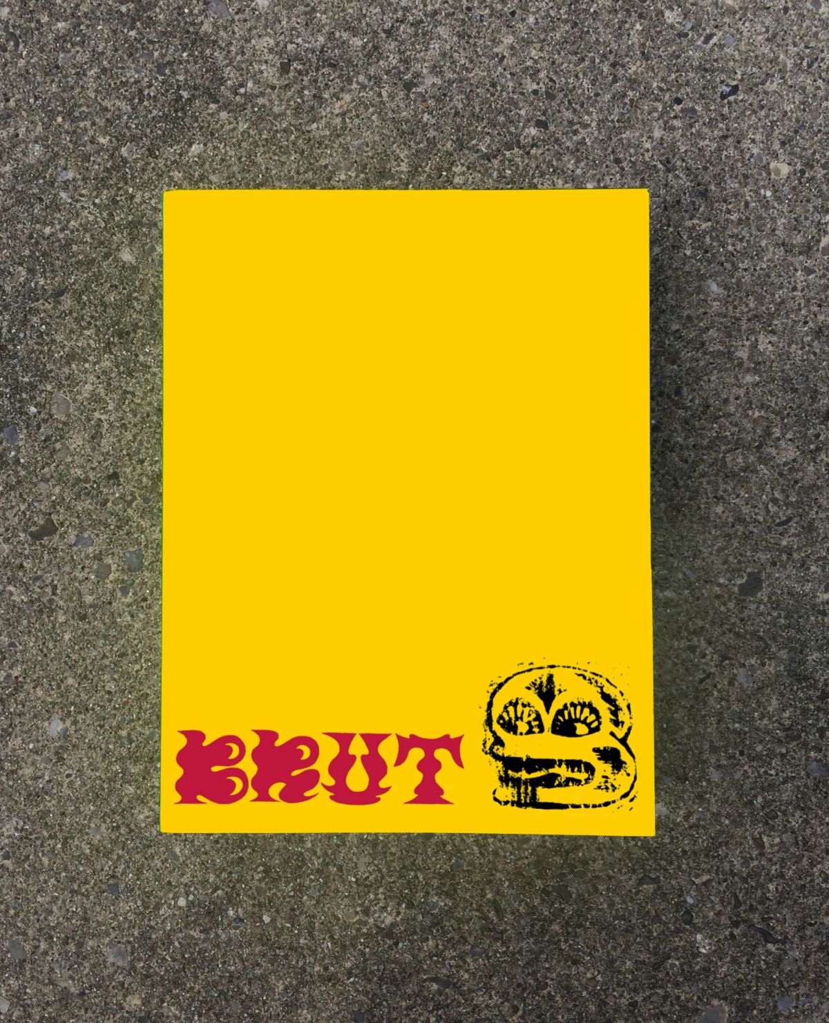 1 - Brut: Outsiders on the Inside (book cover)