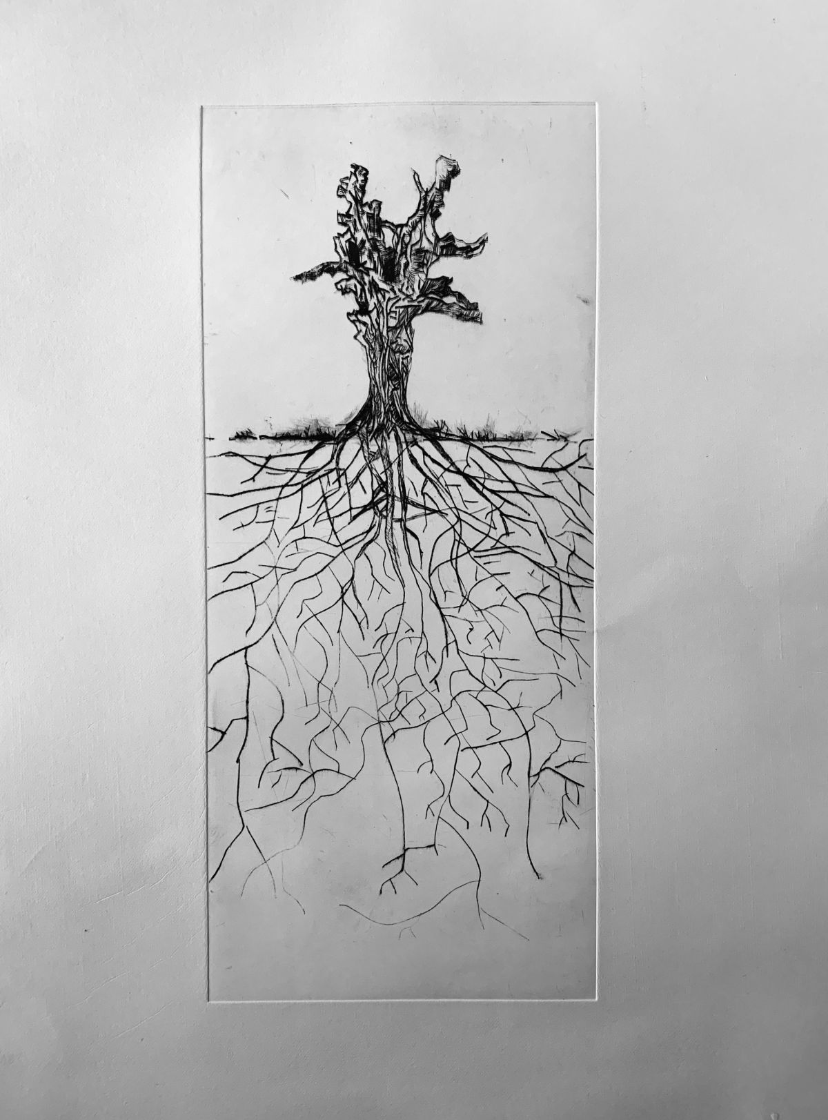 The Hidden Aboretum, Triptych, Mixed Media. 25 x 35.5 inches, 24 x 18 inches & 24 x 18 inches.