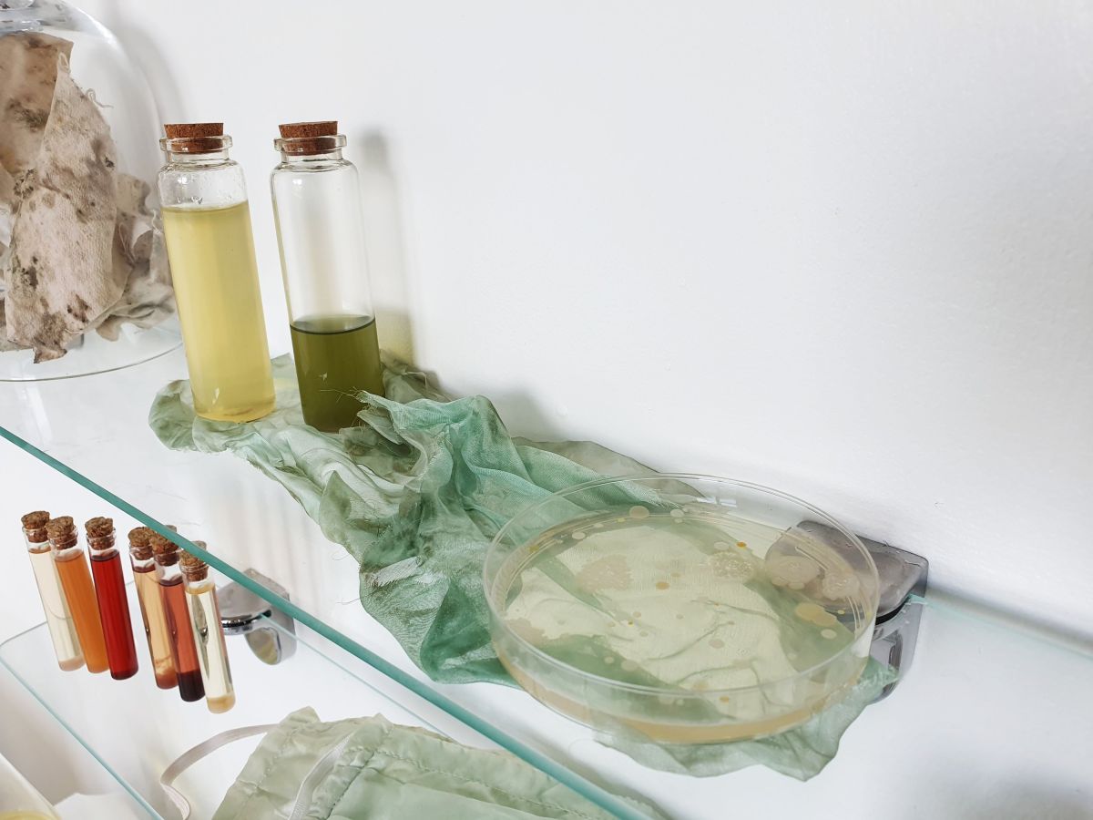 9- Bacterial dye and dyed silks.