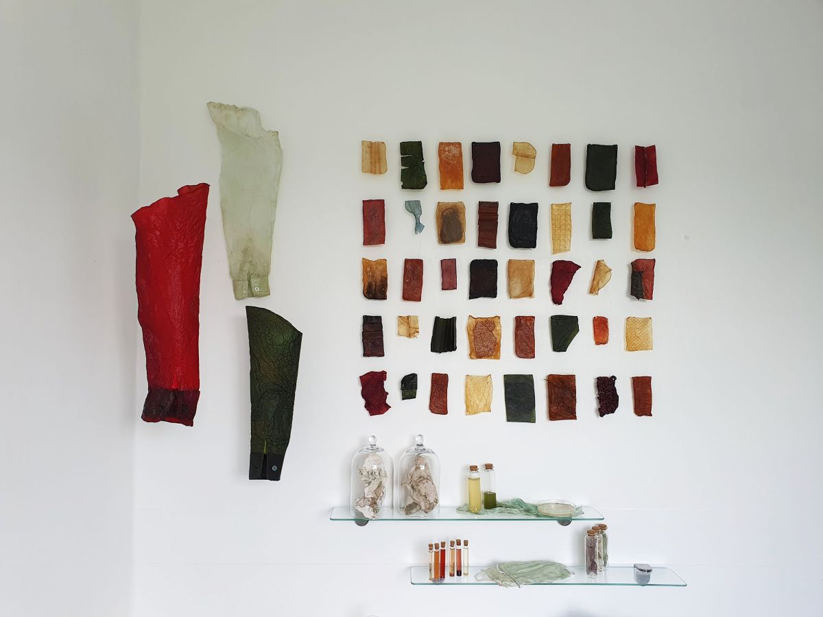 1- Left: Two kombucha sleeves & One silk sleeve bacterial dyed. Right: Kombucha experiments.