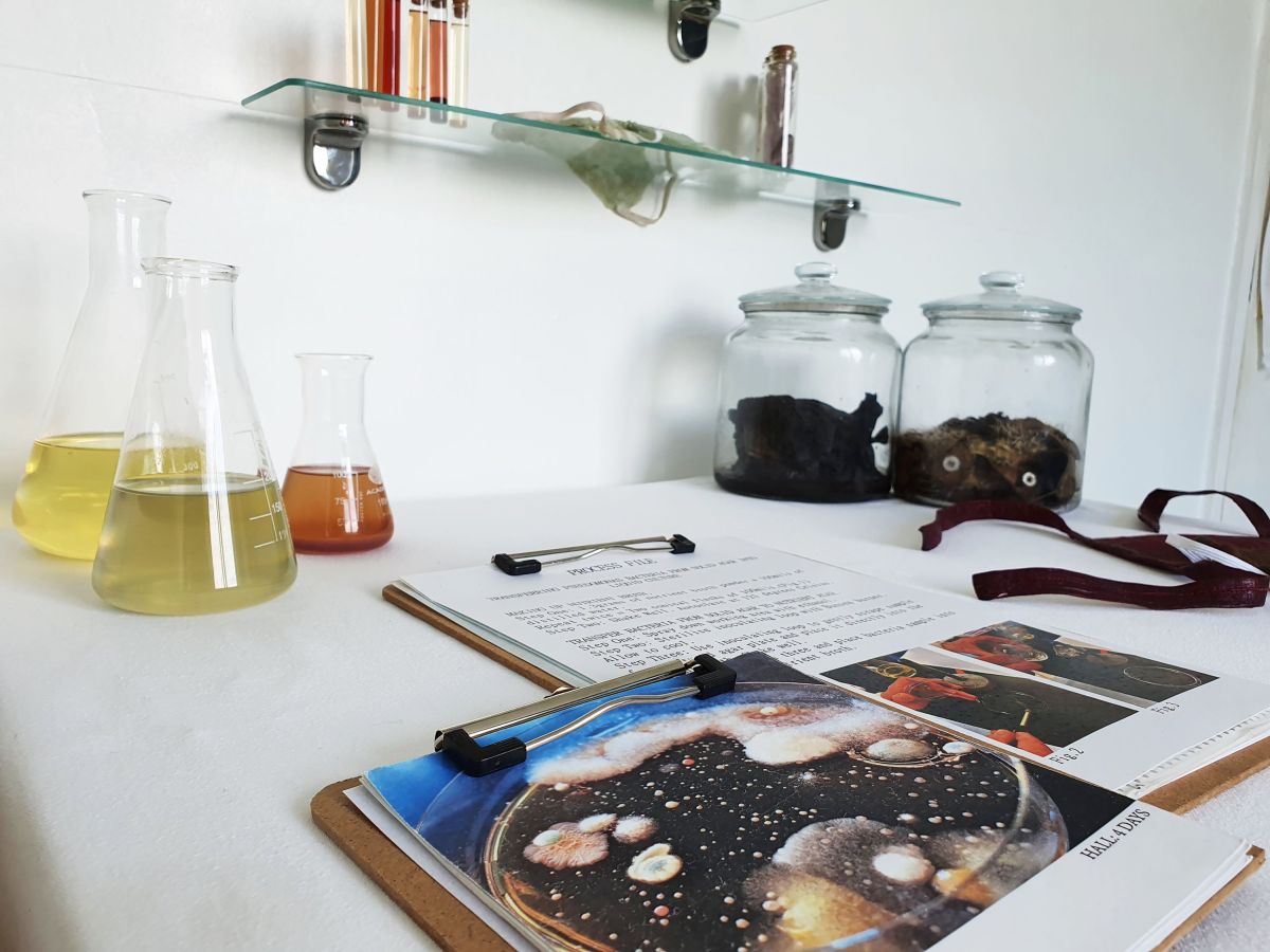 3- Left: Process File and notebooks. Right: dead kombucha in jars.