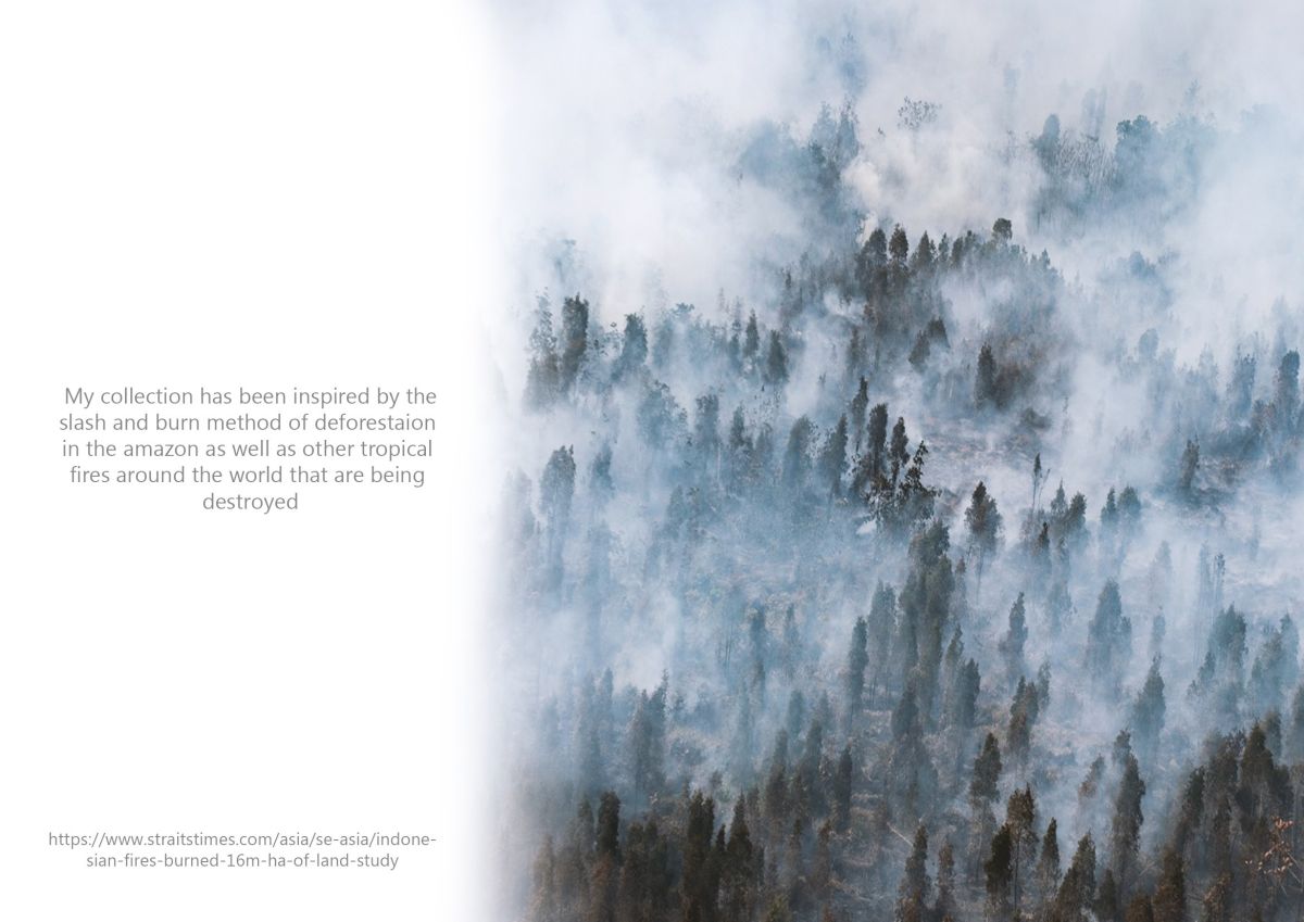 1- Indonesian forest fire/https://www.straitstimes.com/asia/se-asia/indonesian-fires-burned-16m-ha-of-land-study