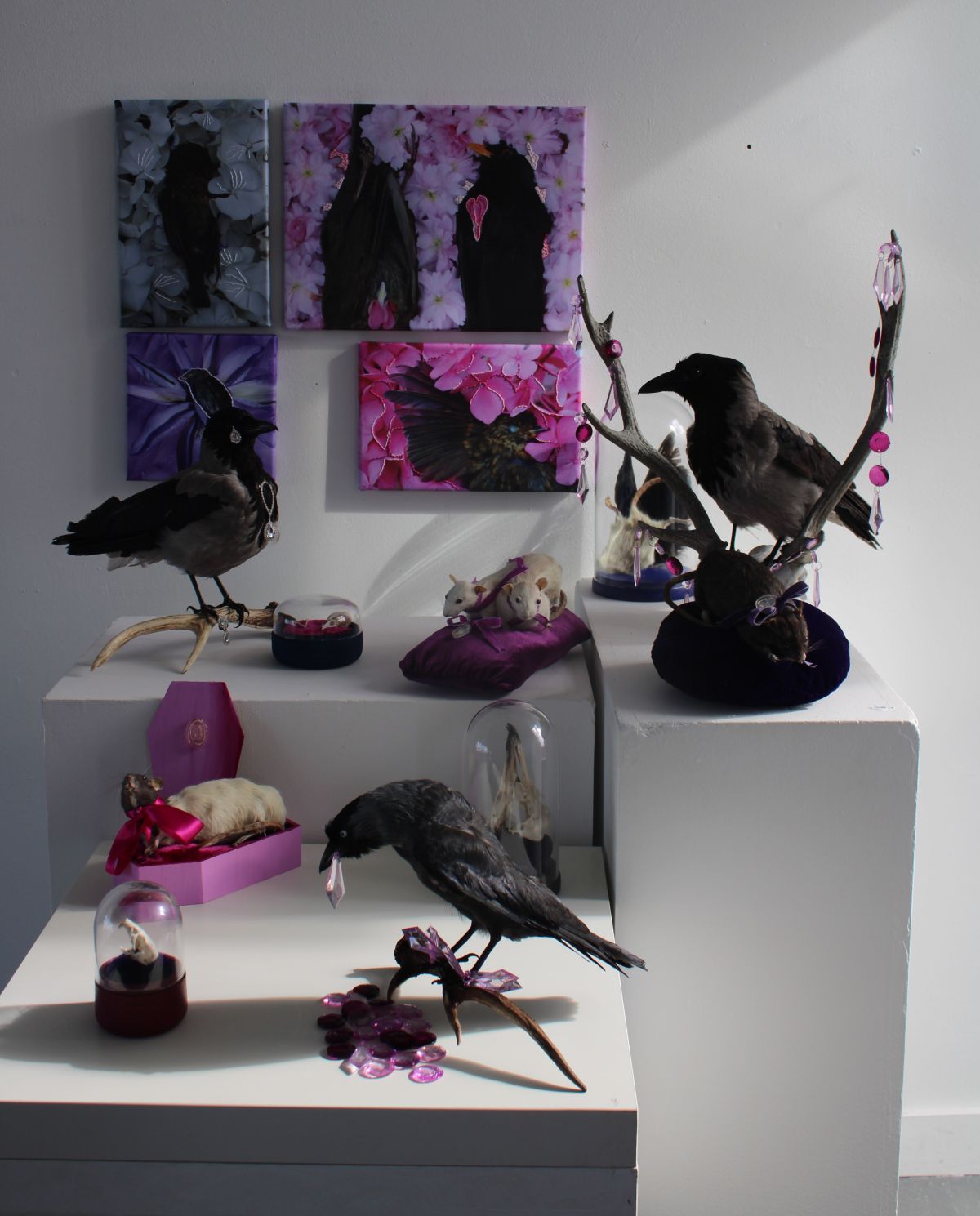 Final Open Studios Set Up