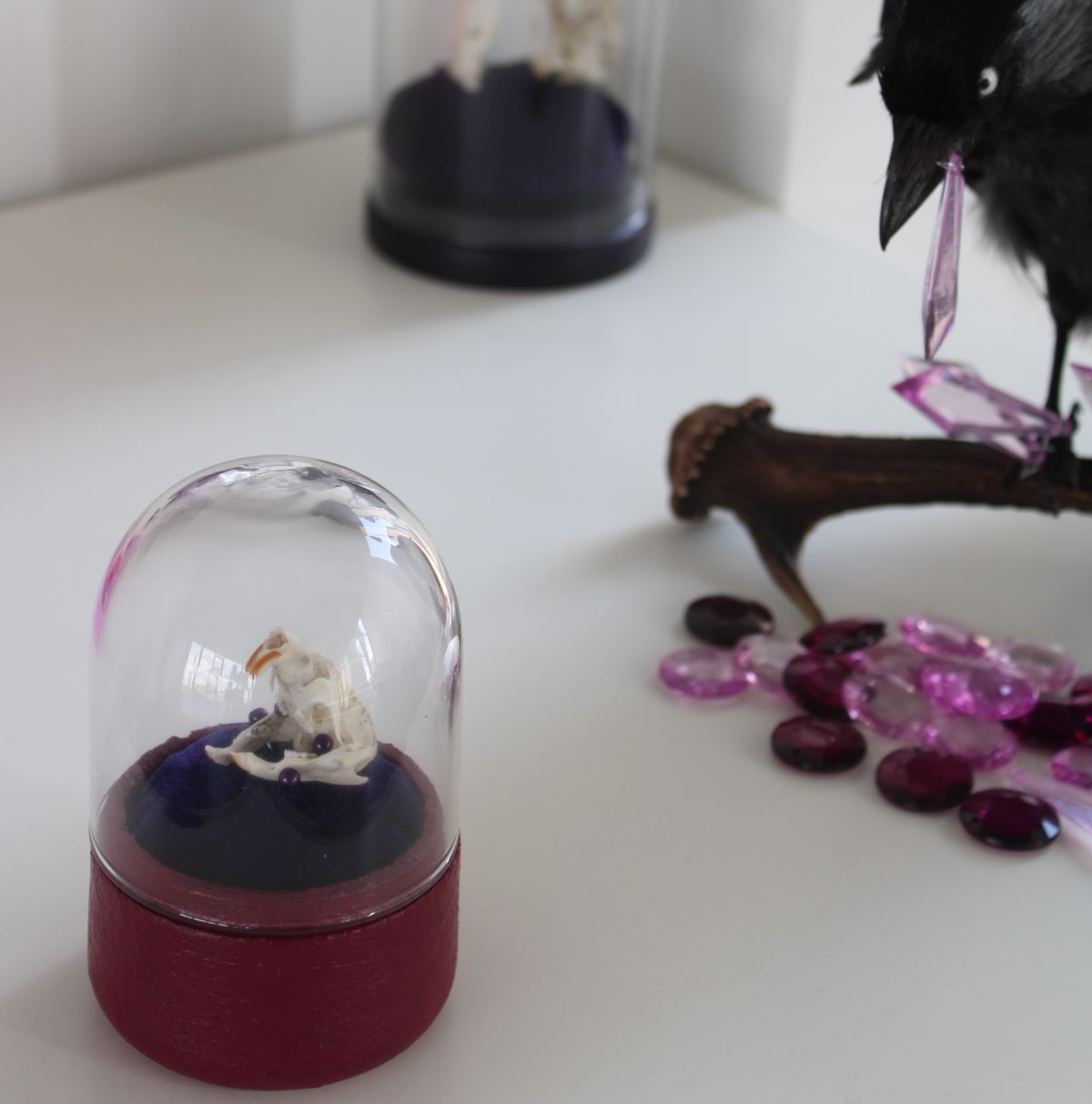 Rat Skull in Dome