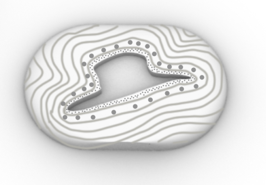 8 - Daisy Bates Brooch #3 - Sterling silver, etching.