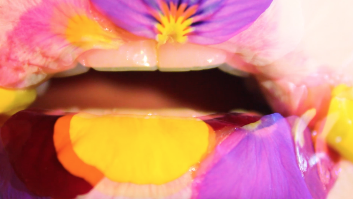 5- Video Screenshot, My Flower Lips