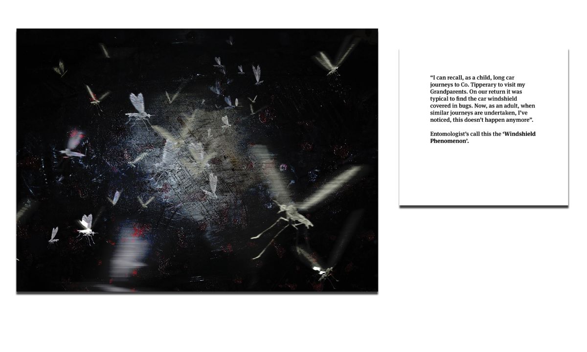 Mixed media artwork addressing the 'Windshield Phenomenon' and the decline of insects