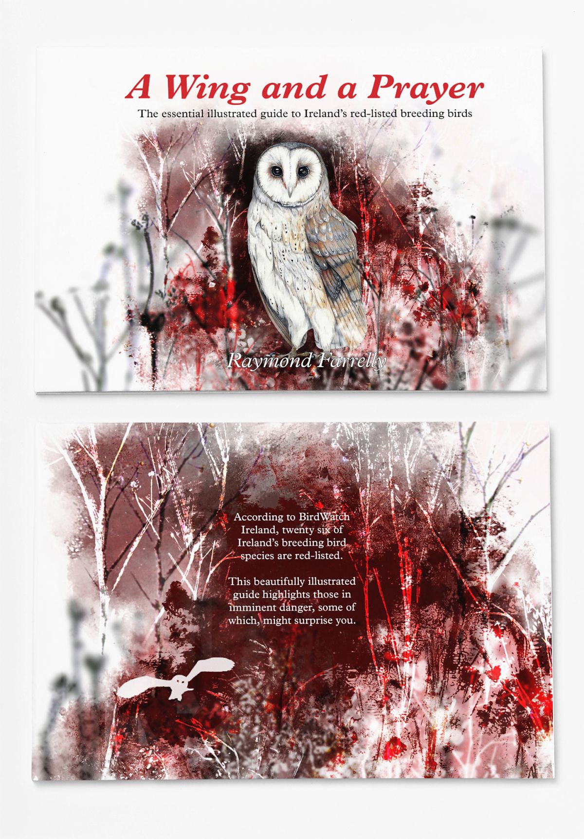 Fully illustrated front and back cover of 'A Wing and a Prayer'