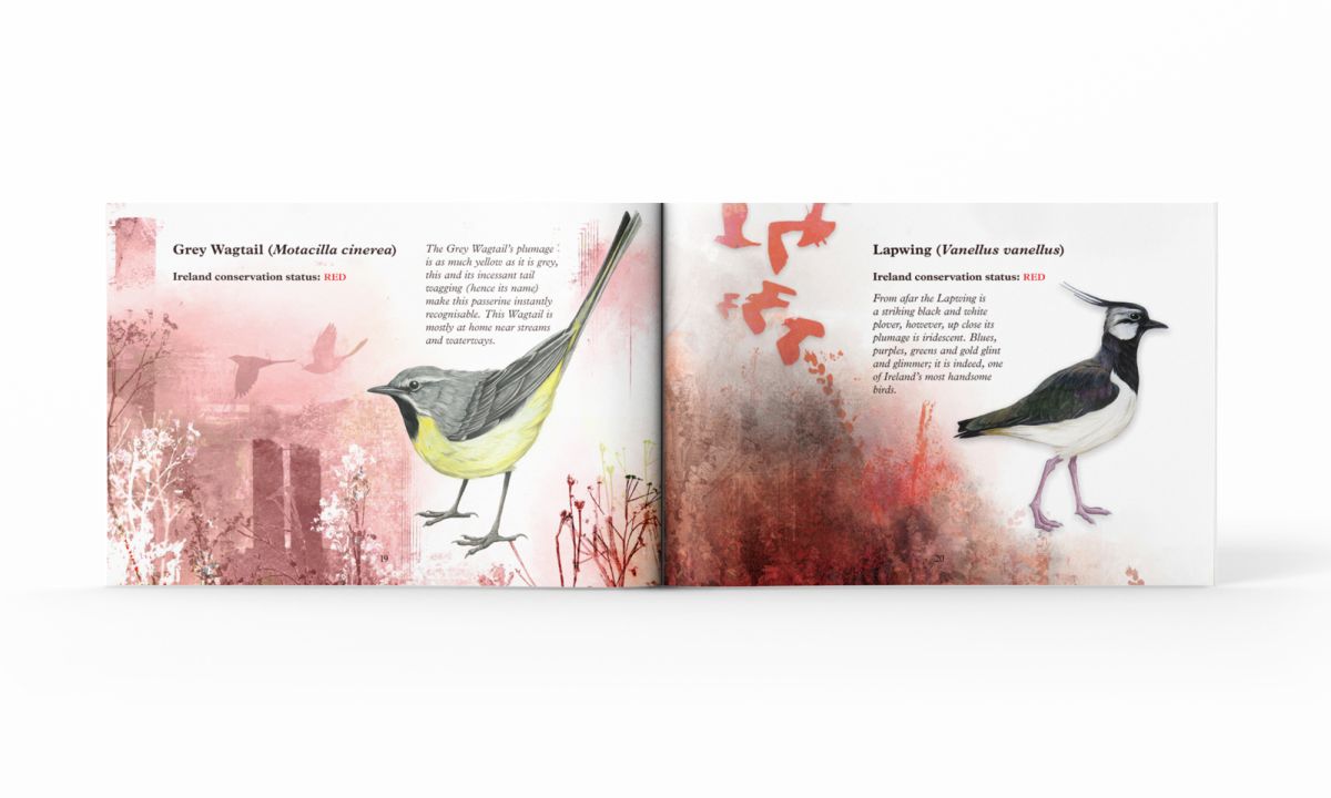 A double page spread from the book 'A Wing and a Prayer'