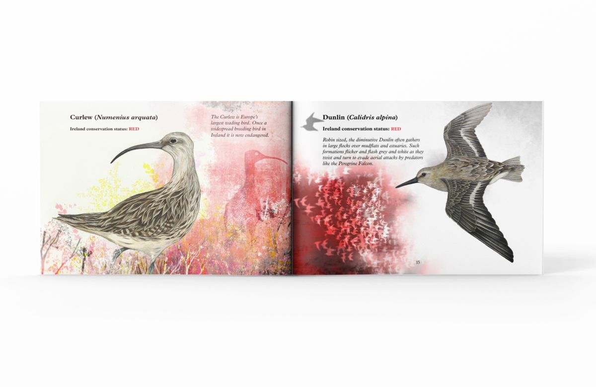 A double page spread from the book 'A Wing and a Prayer'