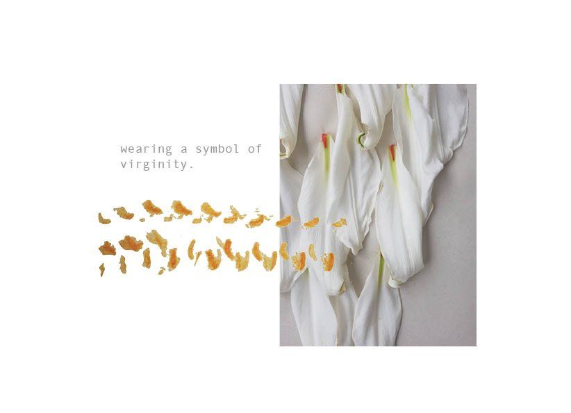 3. - Sampling with lily pollen and petals