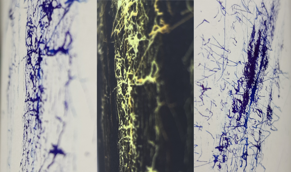Inclined and inverted (digital imagery)