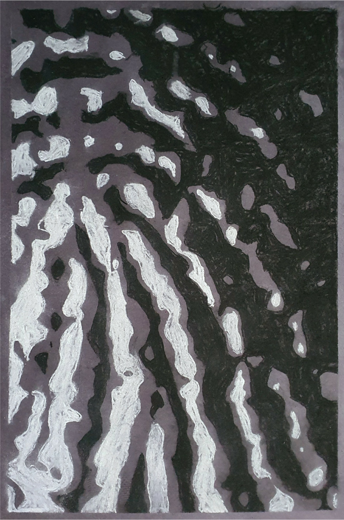 Fingerprint (conte on sugar paper)
