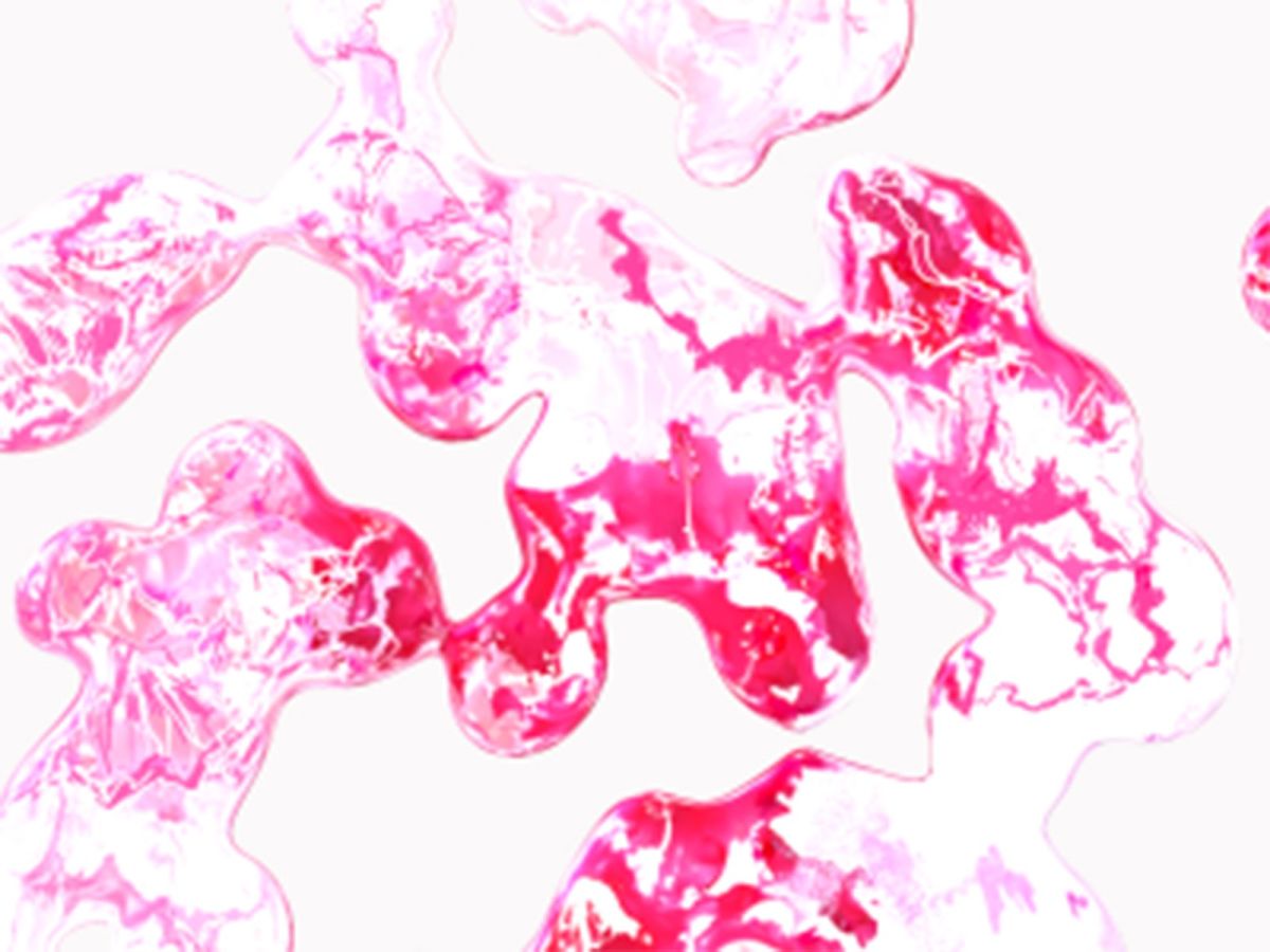 9. Screen-grab of animation clip for interactive wallpapering-https://vimeo.com/437845404