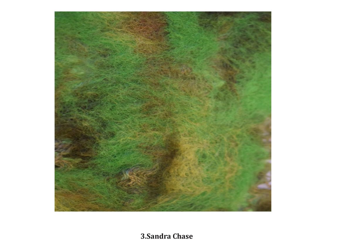Image 3 Short pieces of yarn and wool manipulated with water, heat, agitation.