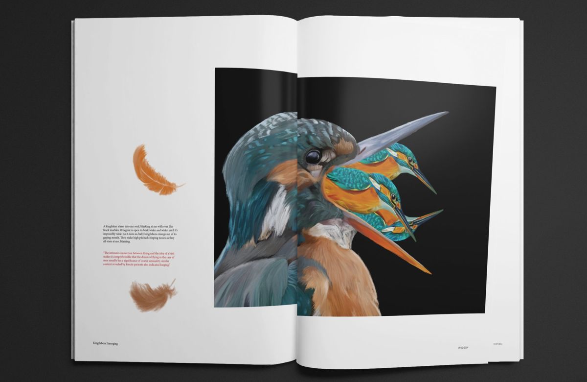 3 – Kingfishers Emerging