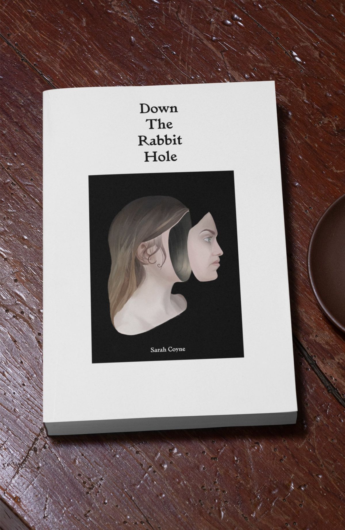 1 – Down The Rabbit Hole book cover